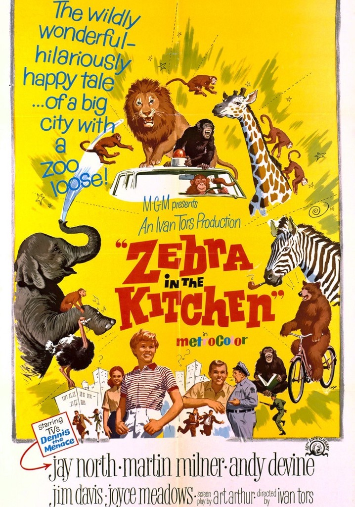 Zebra in the Kitchen poster