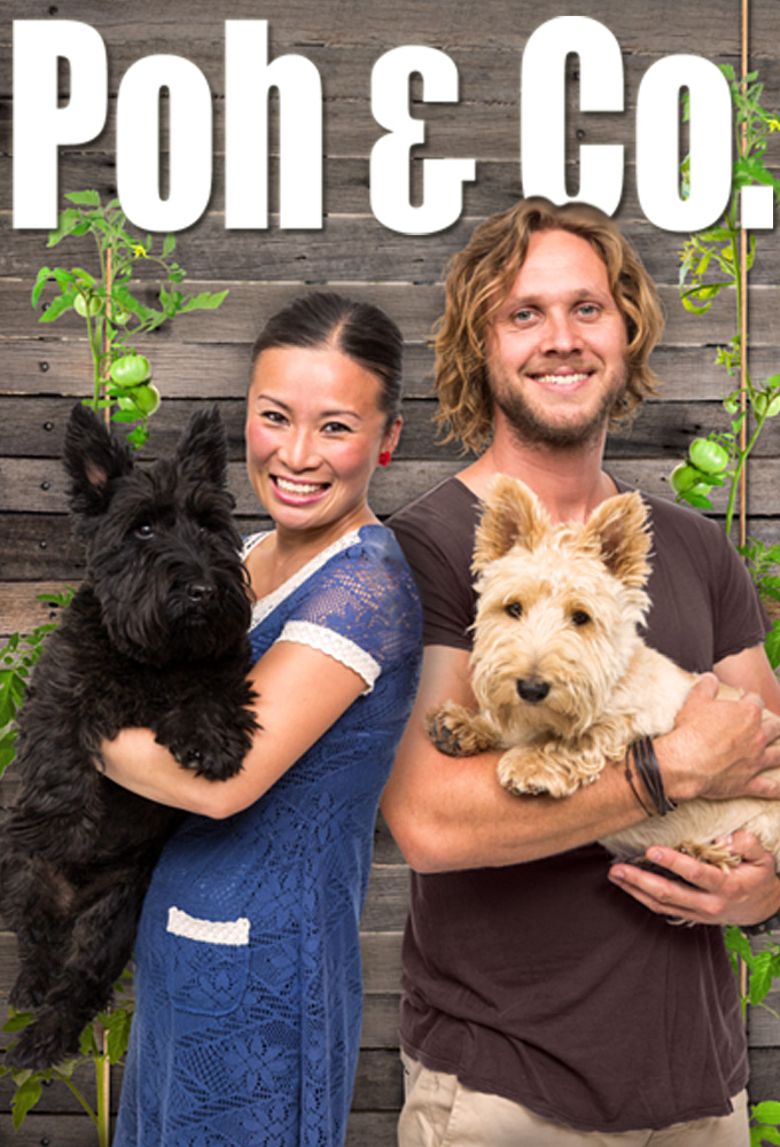Poh & Co poster
