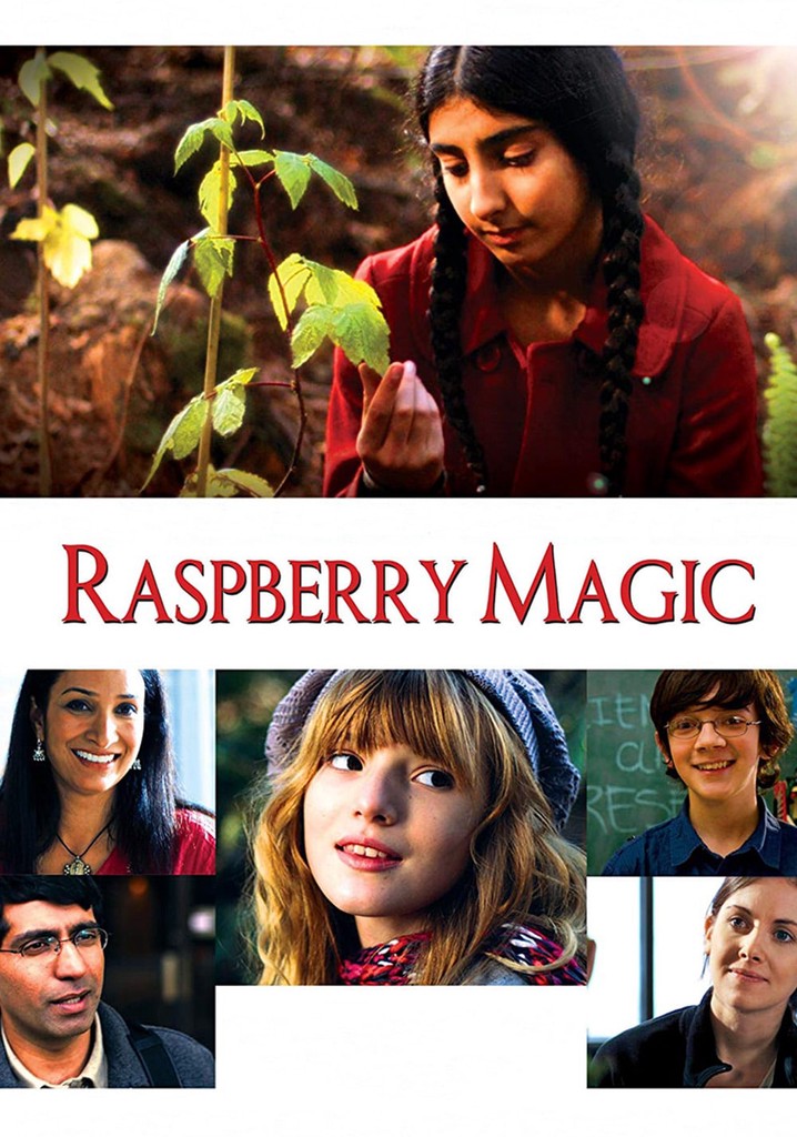Raspberry Magic poster