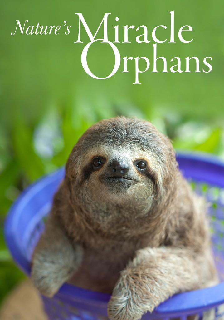 Nature's Miracle Orphans poster