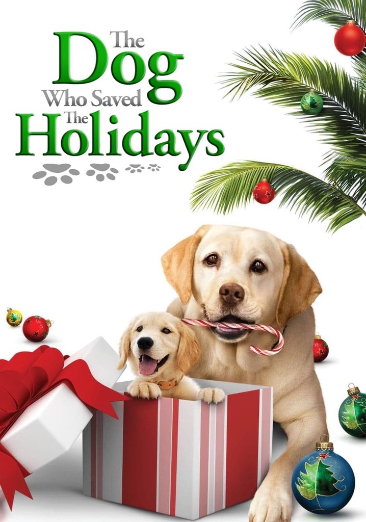 The Dog Who Saved the Holidays poster