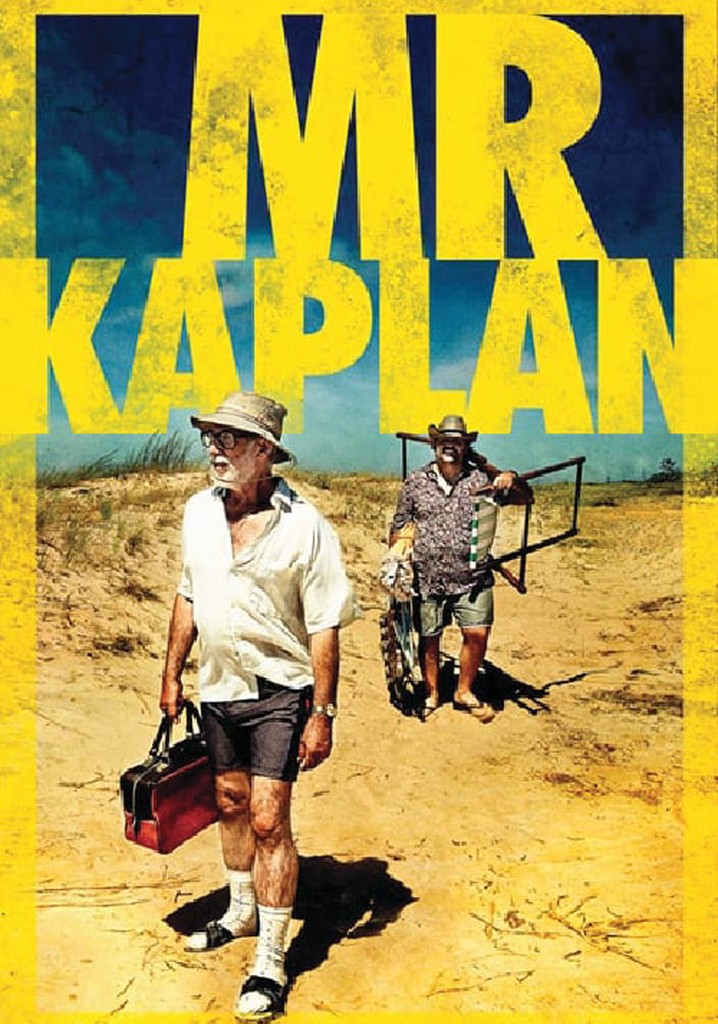Mr. Kaplan poster