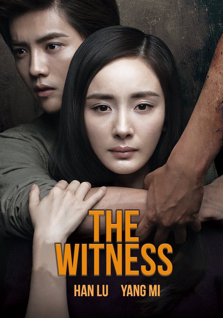 The Witness poster