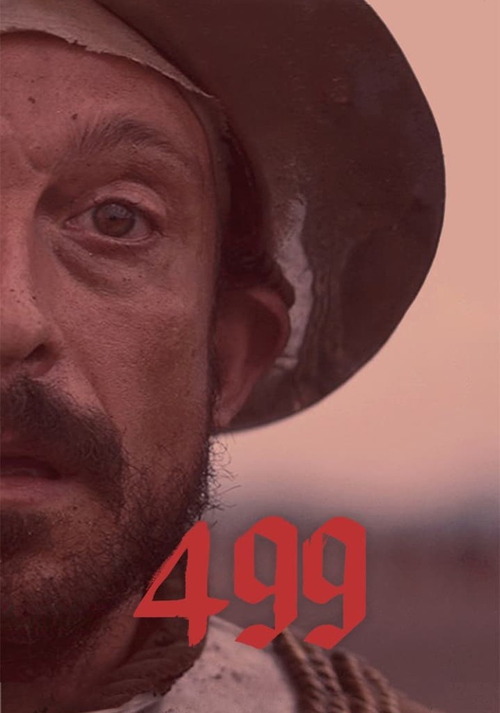 499 poster
