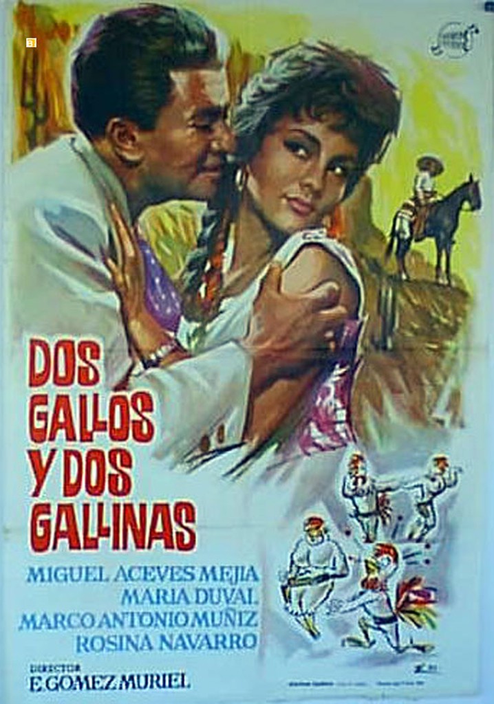 Dos gallos y dos gallinas poster