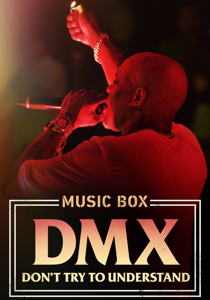 DMX: Don't Try to Understand poster