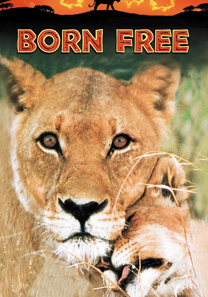 Born Free poster