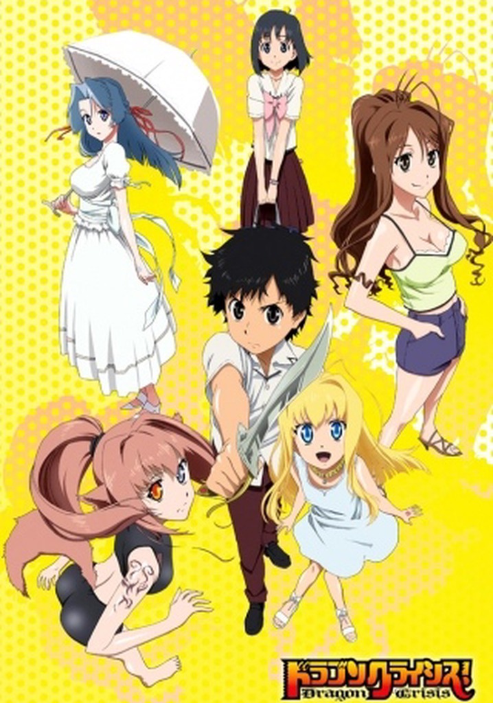 Dragon Crisis! poster