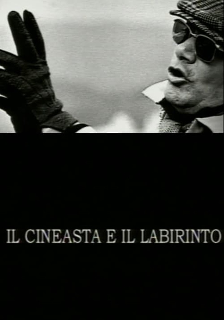 The Filmmaker and the Labyrinth poster