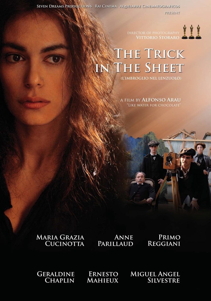 L'imbroglio nel lenzuolo poster