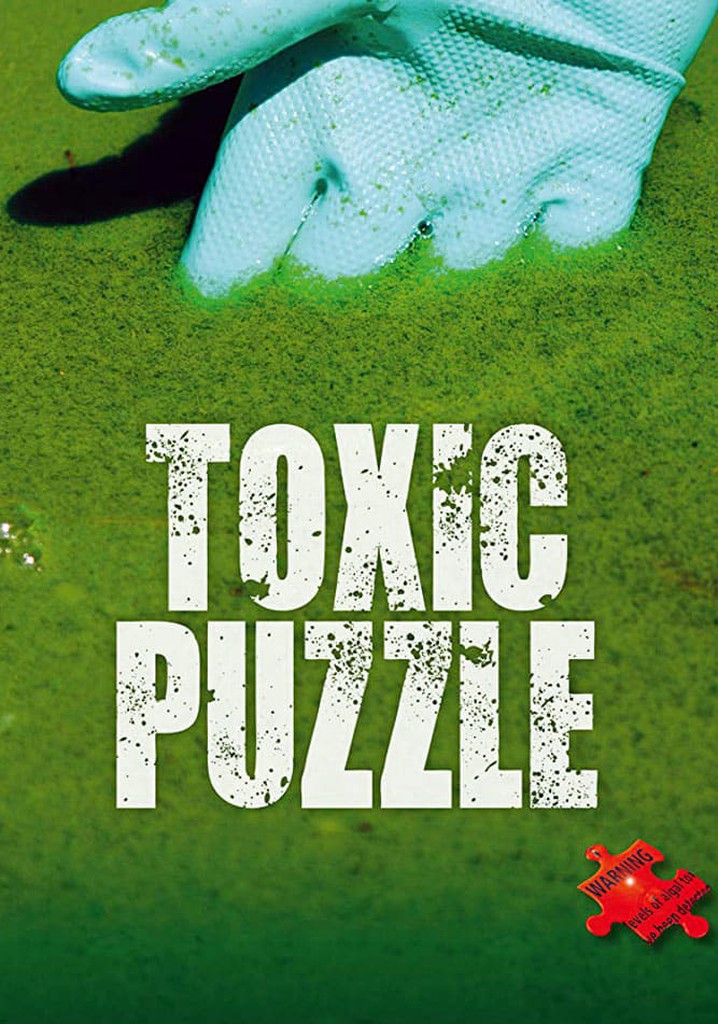Toxic Puzzle poster