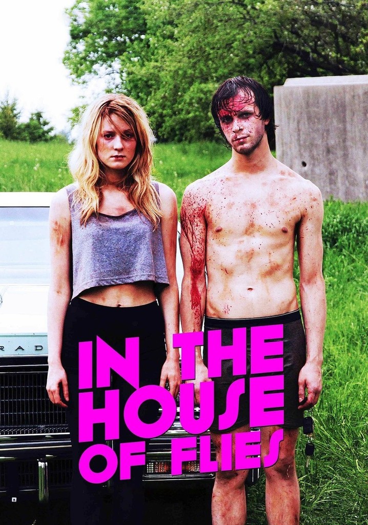 In The House of Flies poster