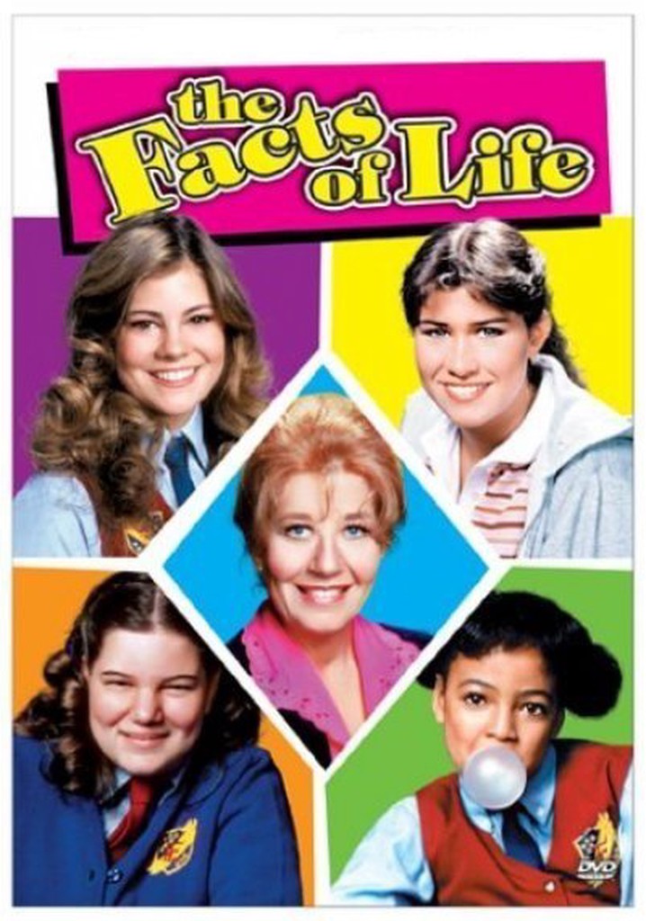 The Facts of Life Goes to Paris poster