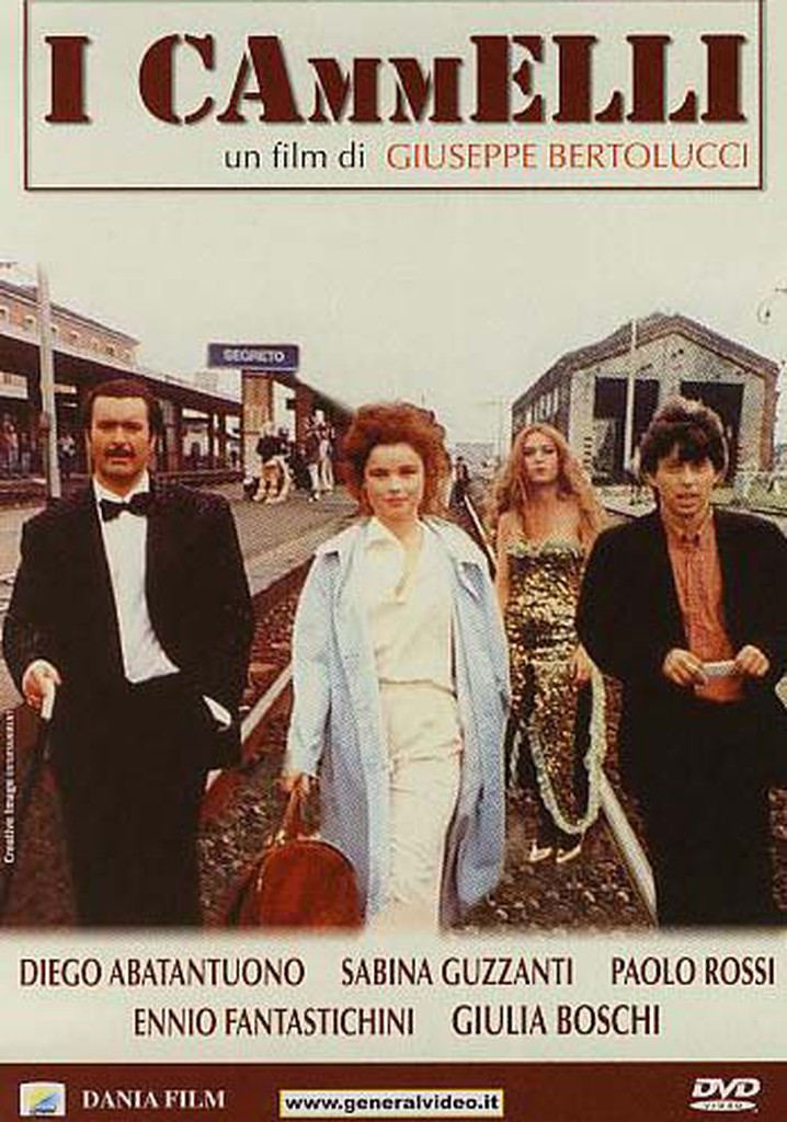I cammelli poster
