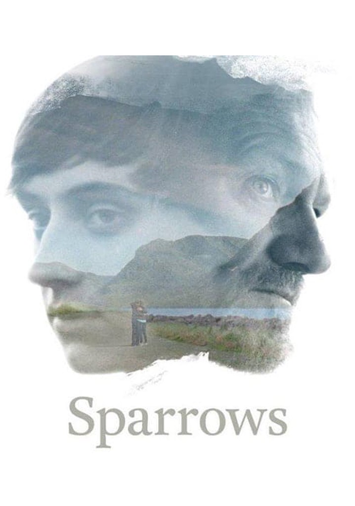 Sparrows poster