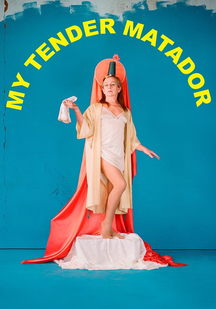 My Tender Matador poster