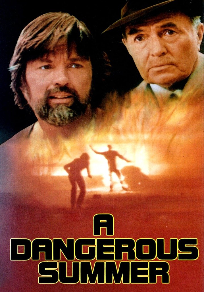 A Dangerous Summer poster