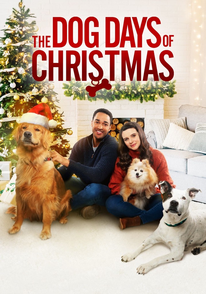 Sit. Stay. Love. poster