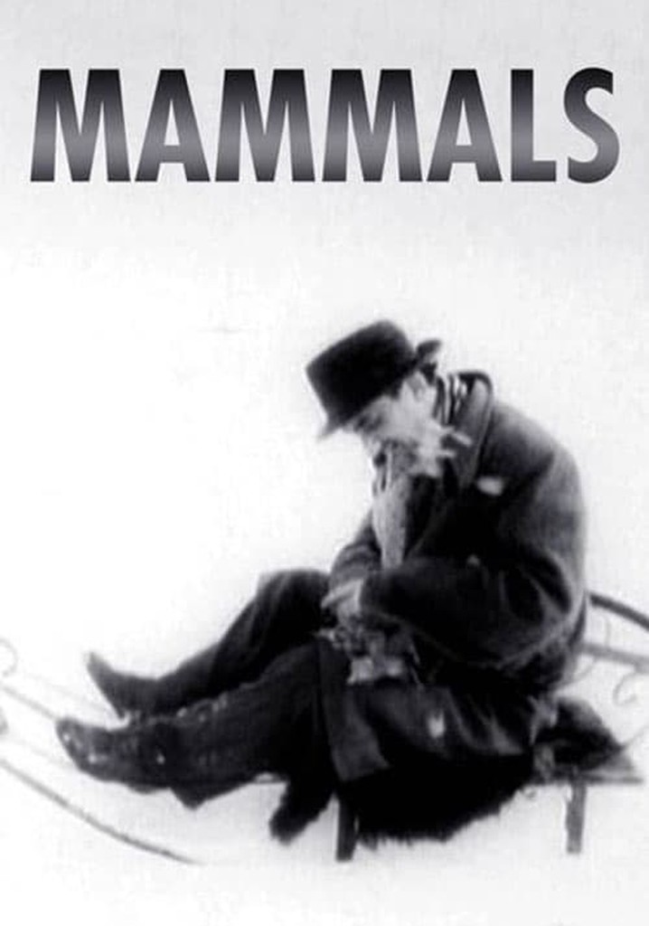 Mammals poster