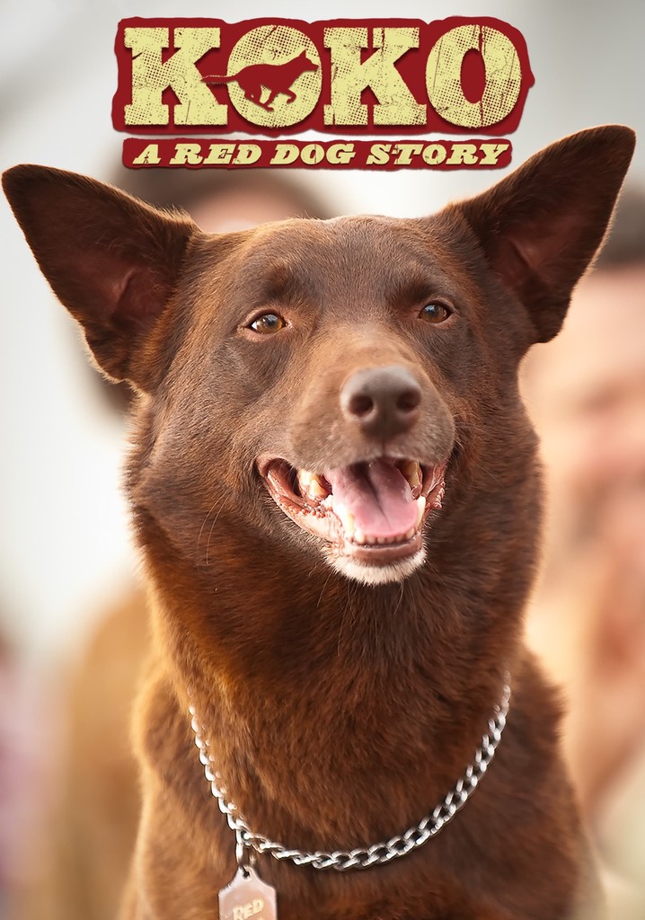 Koko: A Red Dog Story poster