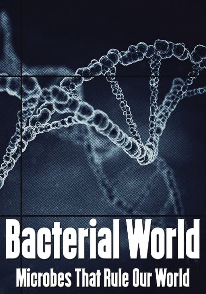 Bacterial World poster