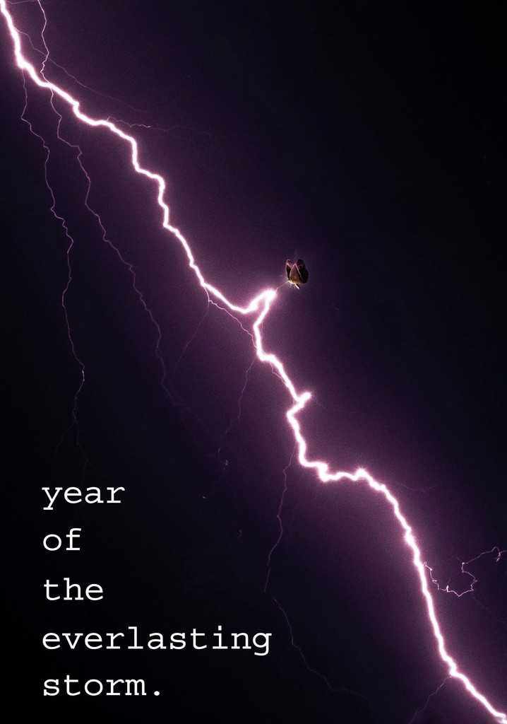 The Year of the Everlasting Storm poster