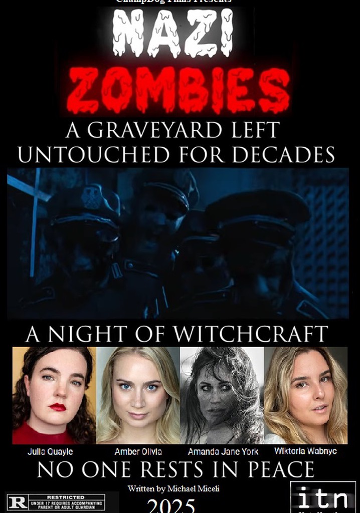 Nazi Zombies poster
