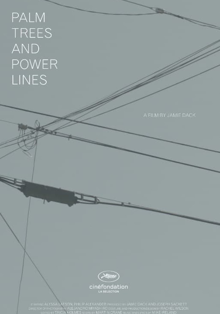 Palm Trees and Power Lines poster
