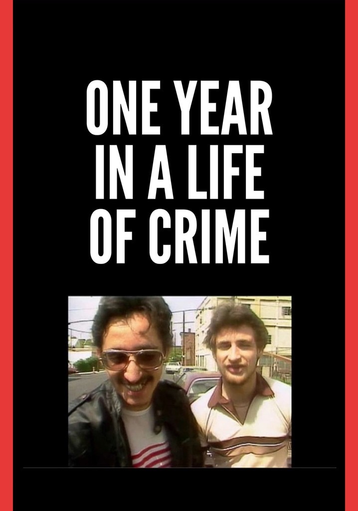 One Year in a Life of Crime poster