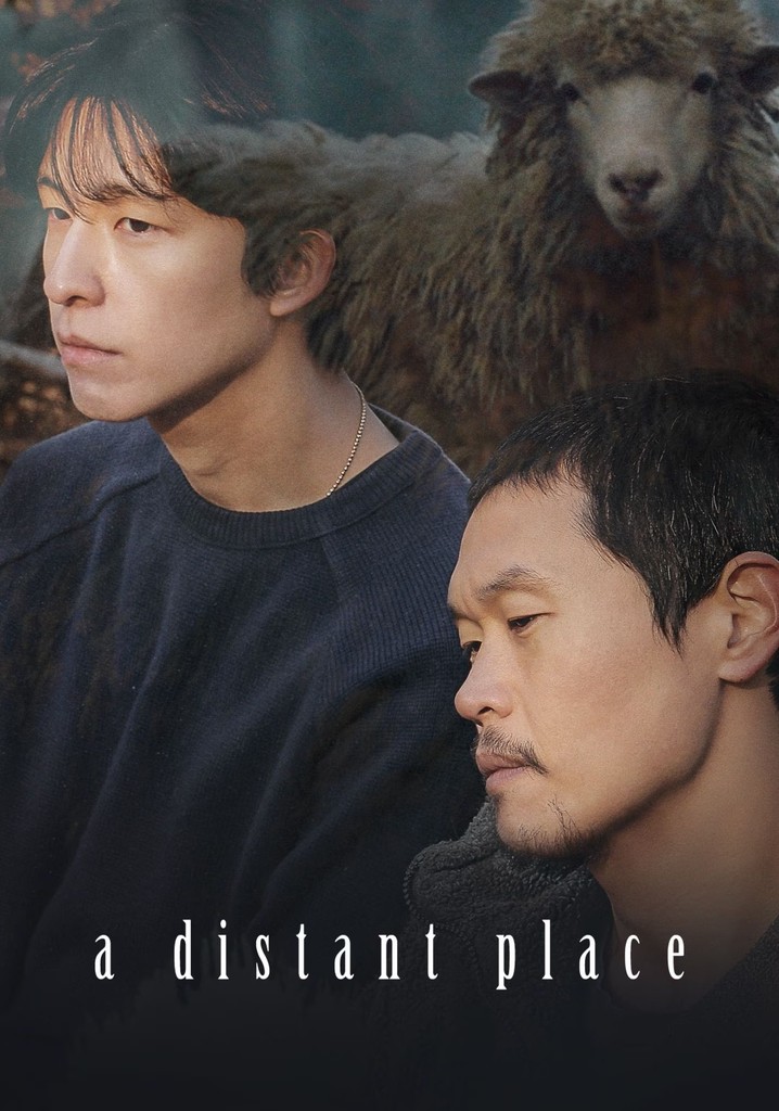 A Distant Place poster