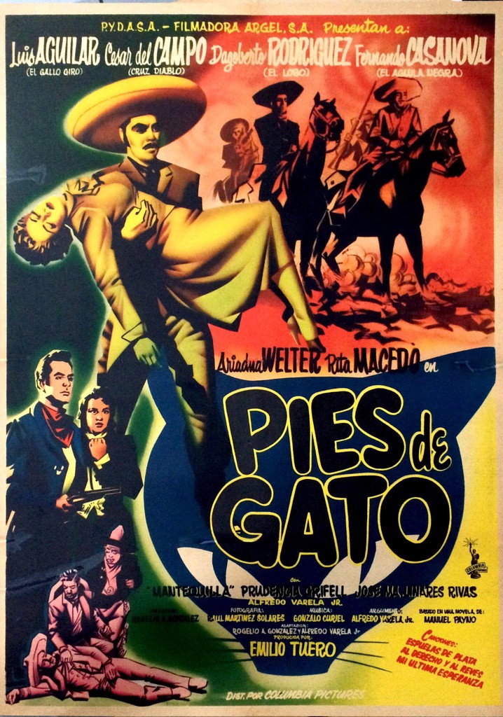 Pies de gato poster