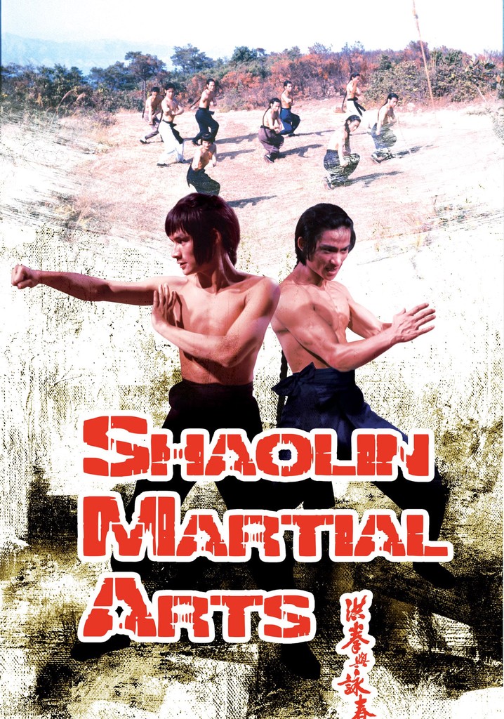 Shaolin Martial Arts poster