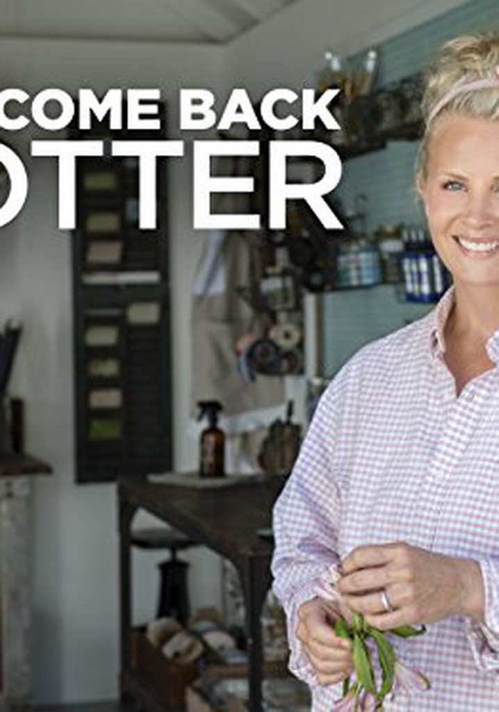 Welcome Back Potter poster