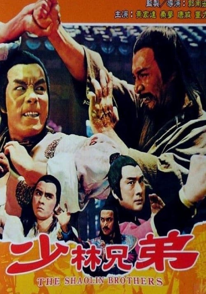 The Shaolin Brothers poster