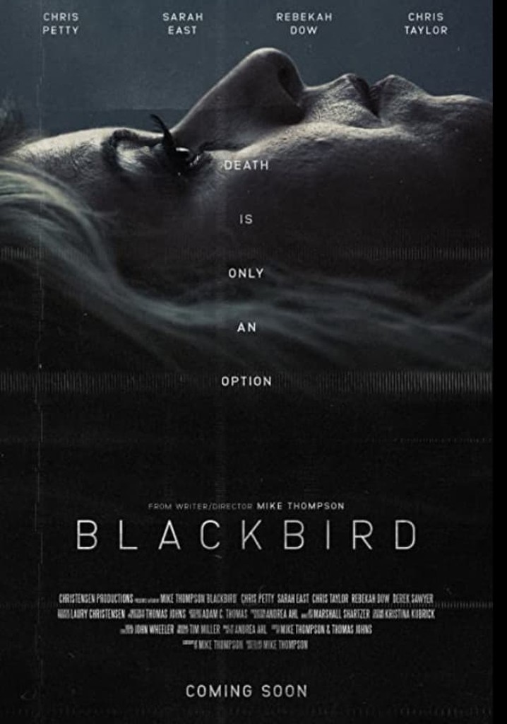 Blackbird poster