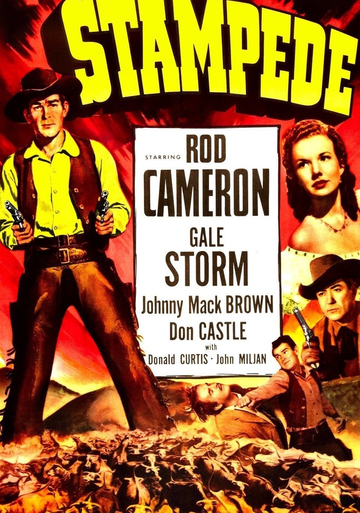 Stampede poster
