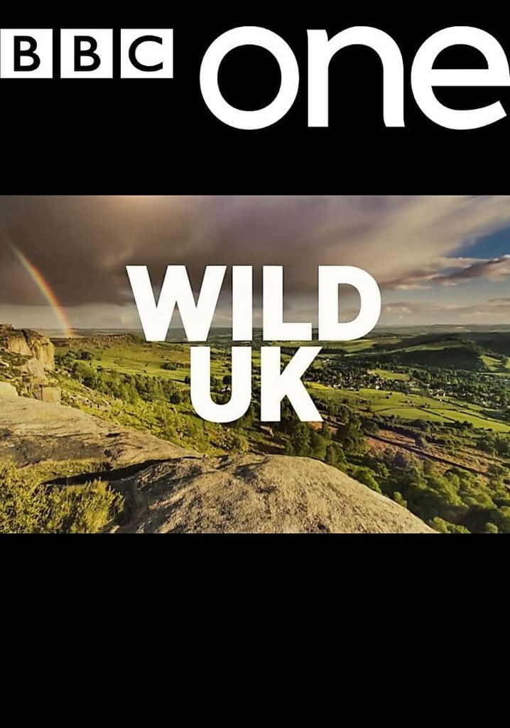 Wild UK poster