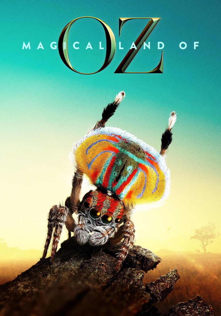 Magical Land of Oz poster