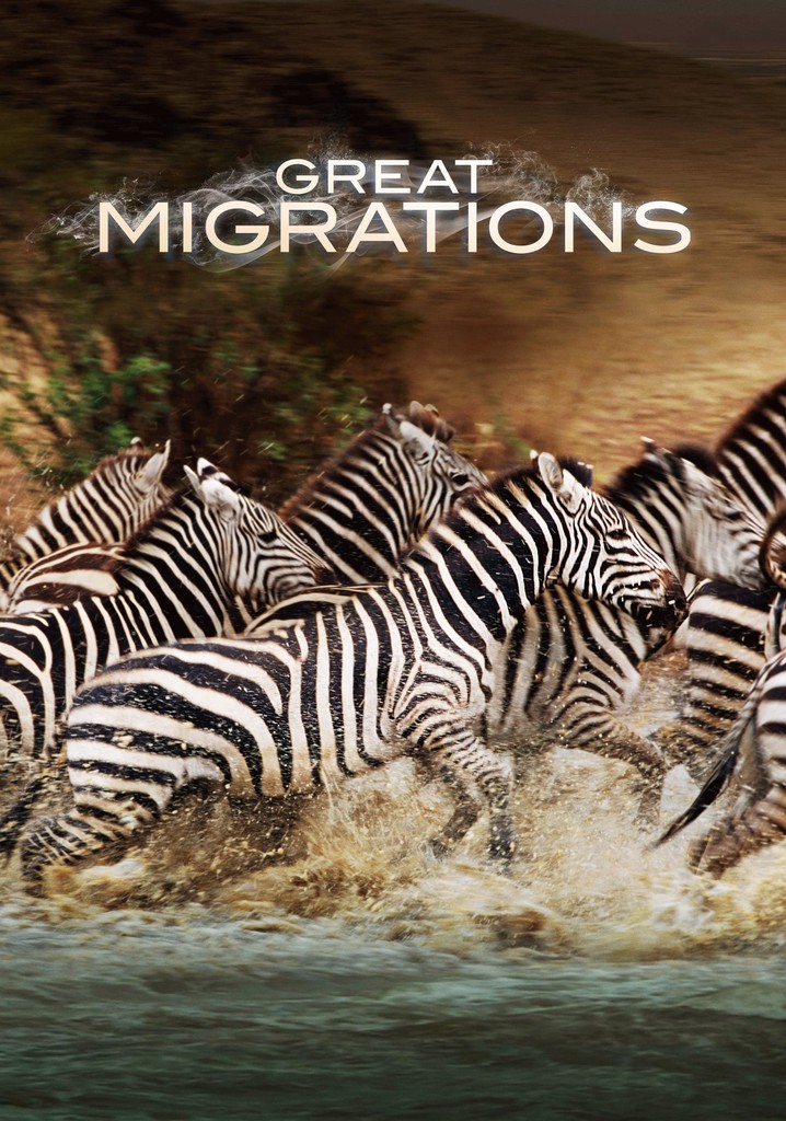 Great Migrations poster