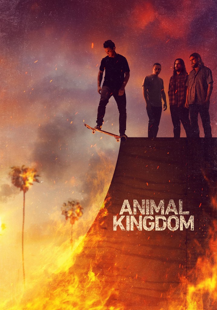 Animal Kingdom poster
