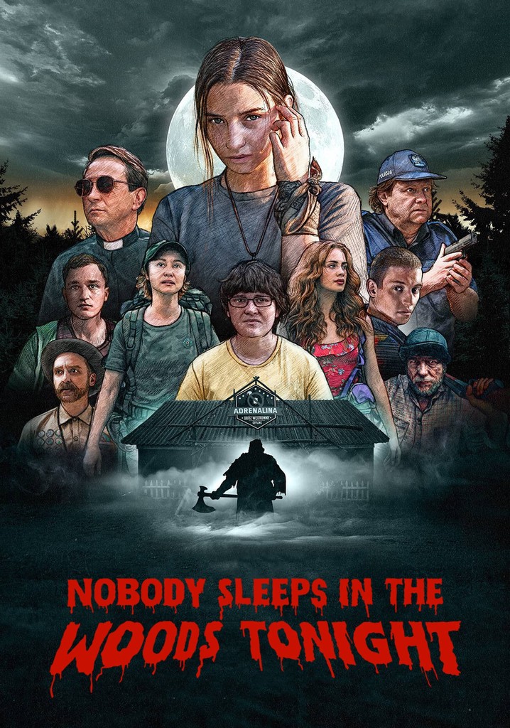 Nobody Sleeps in the Woods Tonight poster