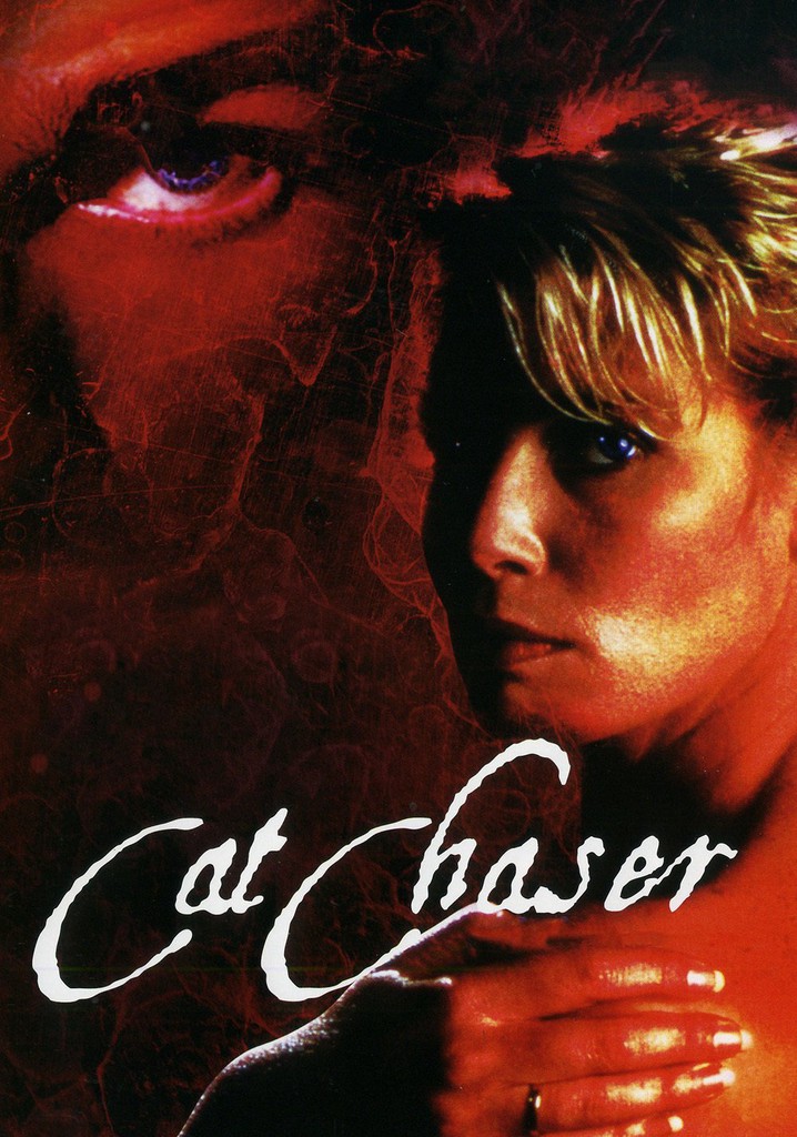 Cat Chaser poster
