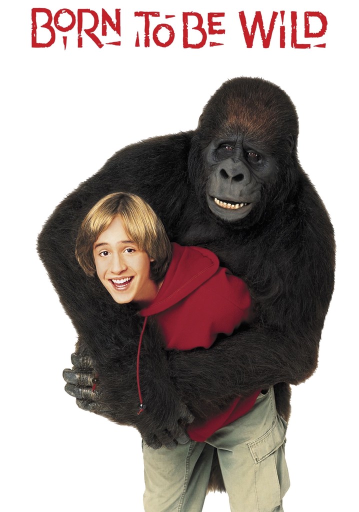 Born to Be Wild poster