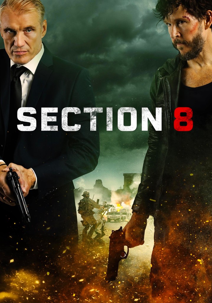 Section 8 poster