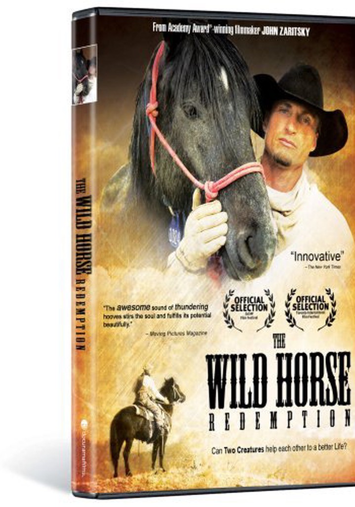 The Wild Horse Redemption poster
