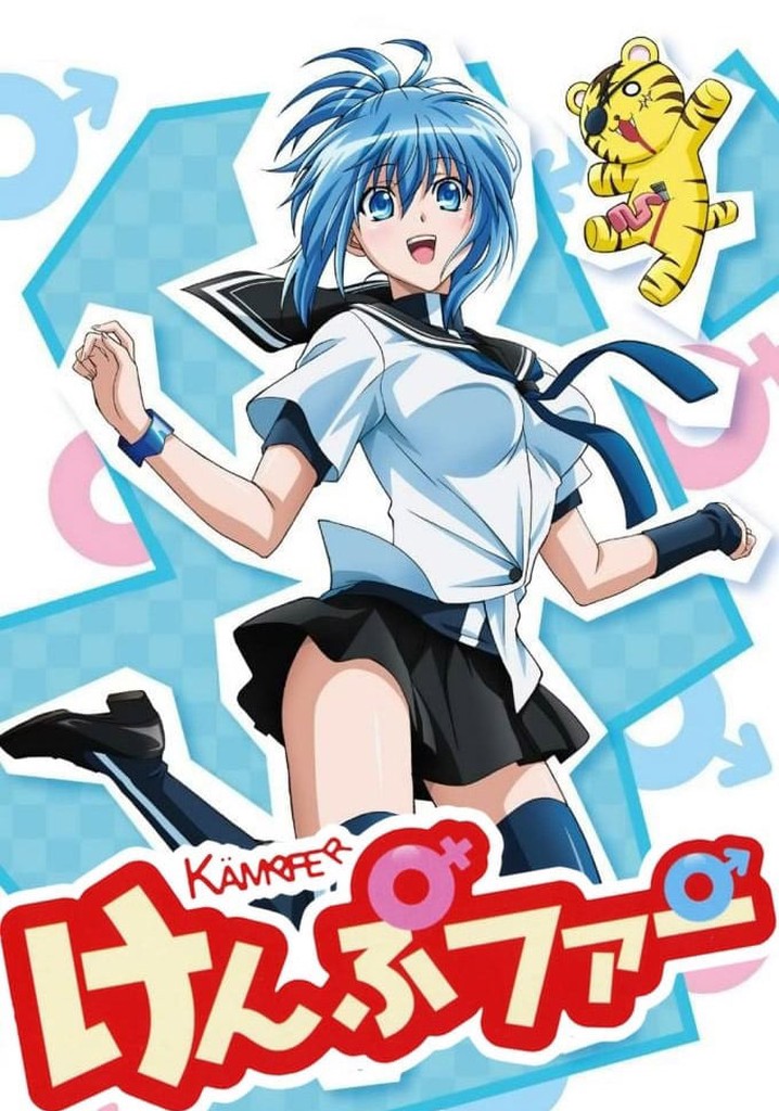 Kämpfer poster
