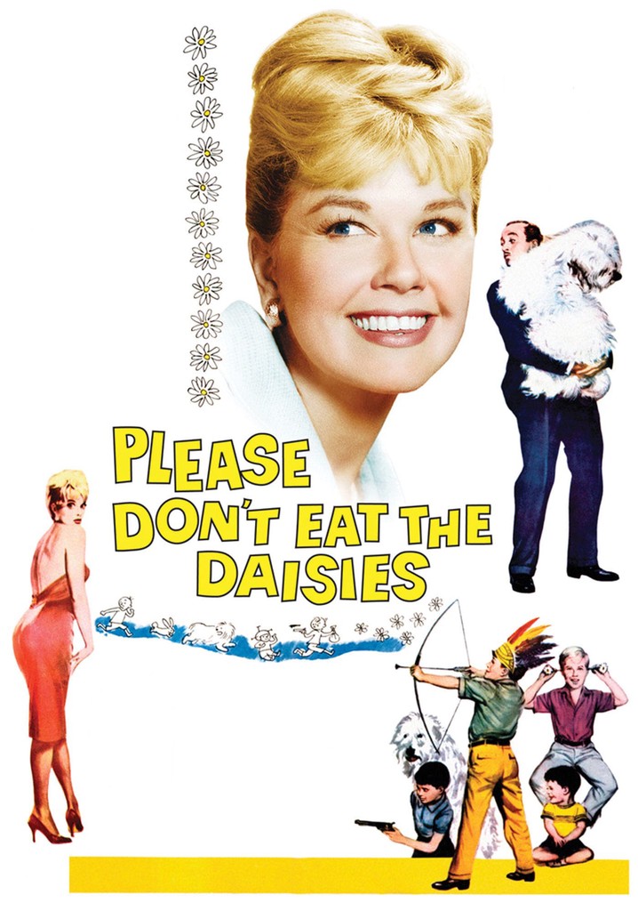 Please Don't Eat the Daisies poster