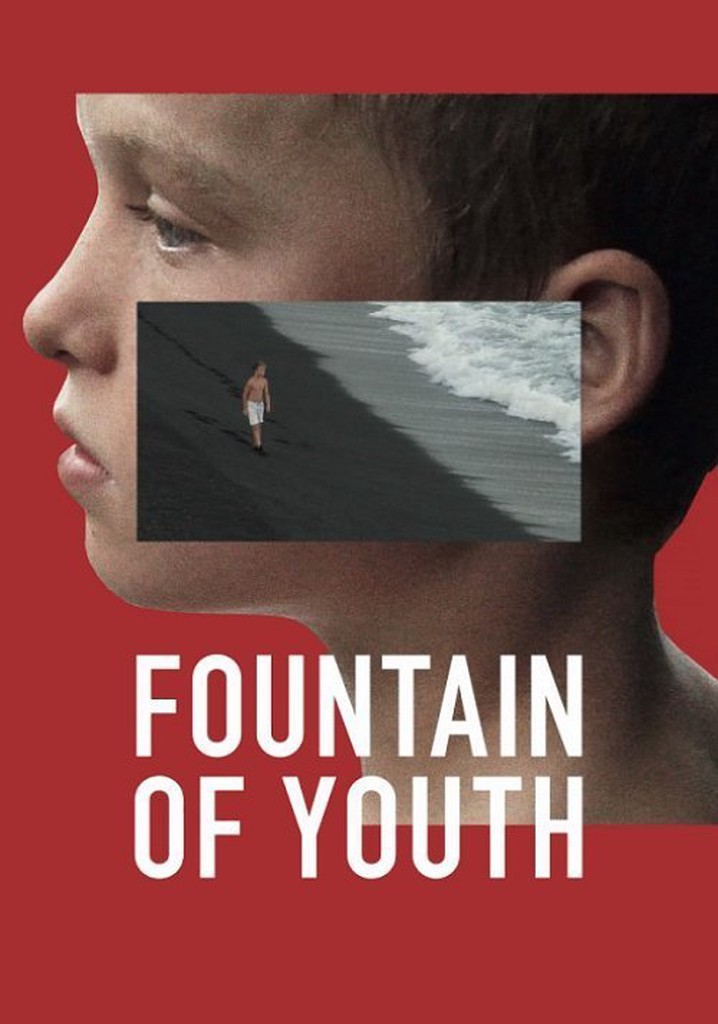 Fountain of Youth poster