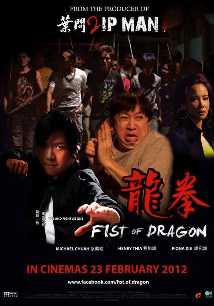 Fist of Dragon poster