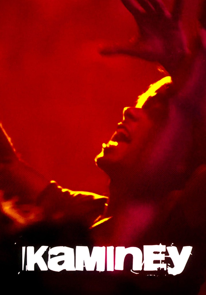 Kaminey poster